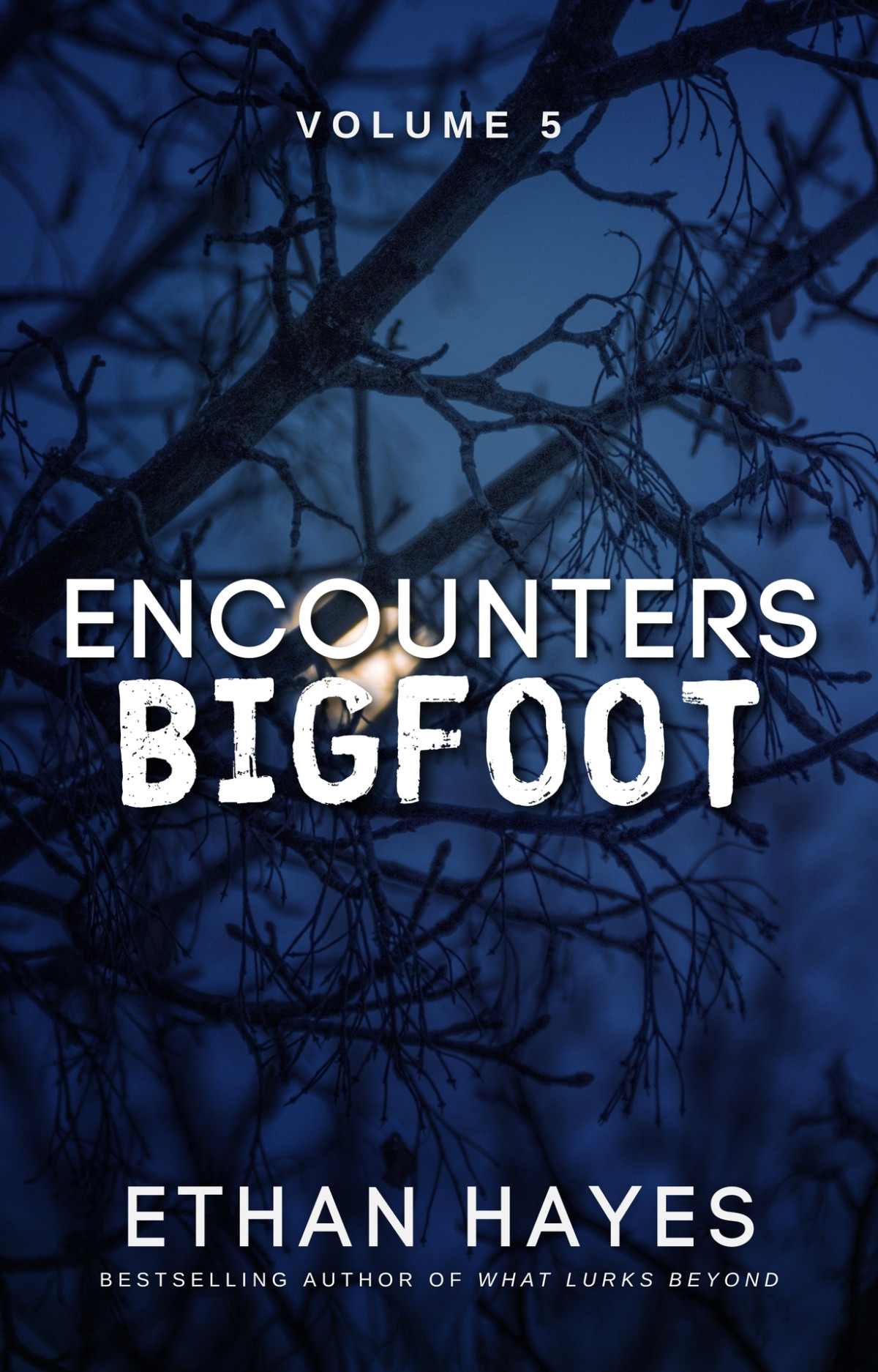Encounters Bigfoot Volume 5 Hayes Ethan