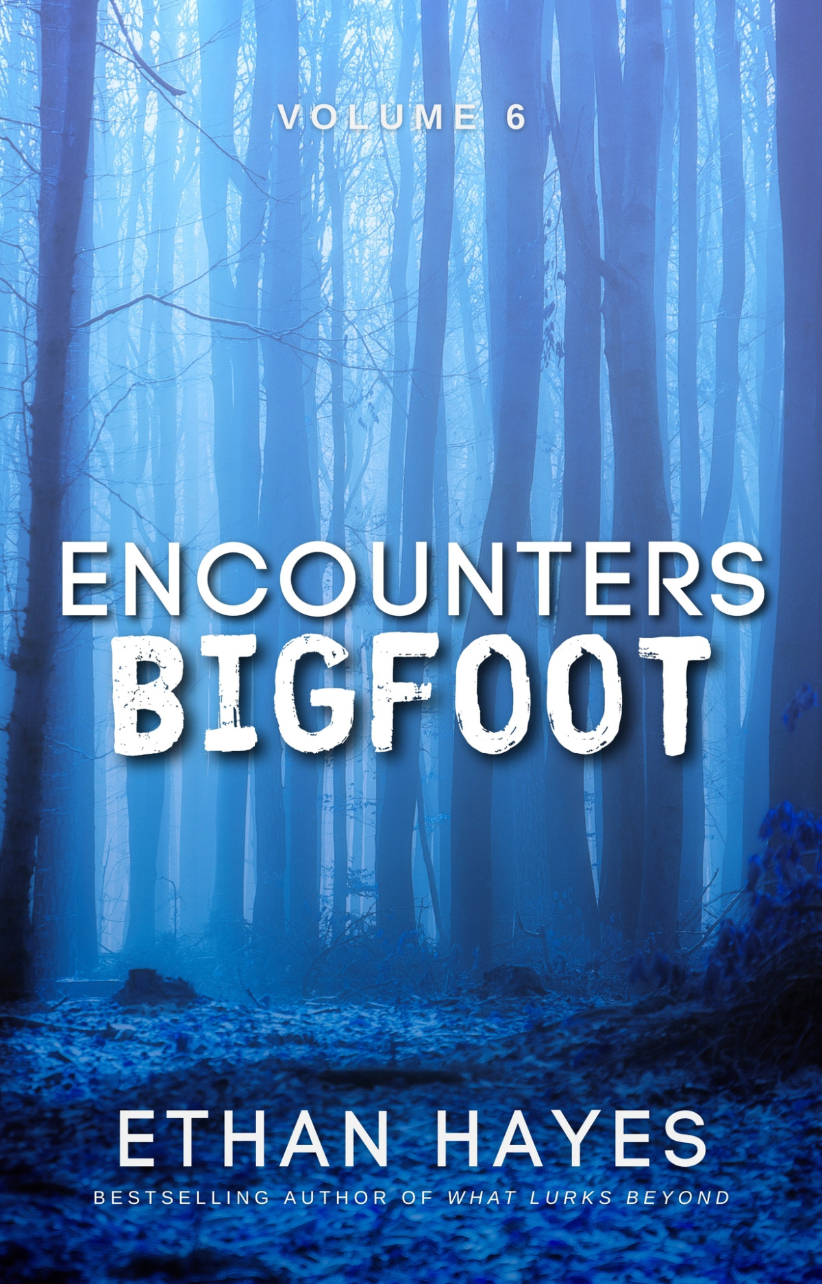 Encounters Bigfoot Volume 6 Hayes Ethan