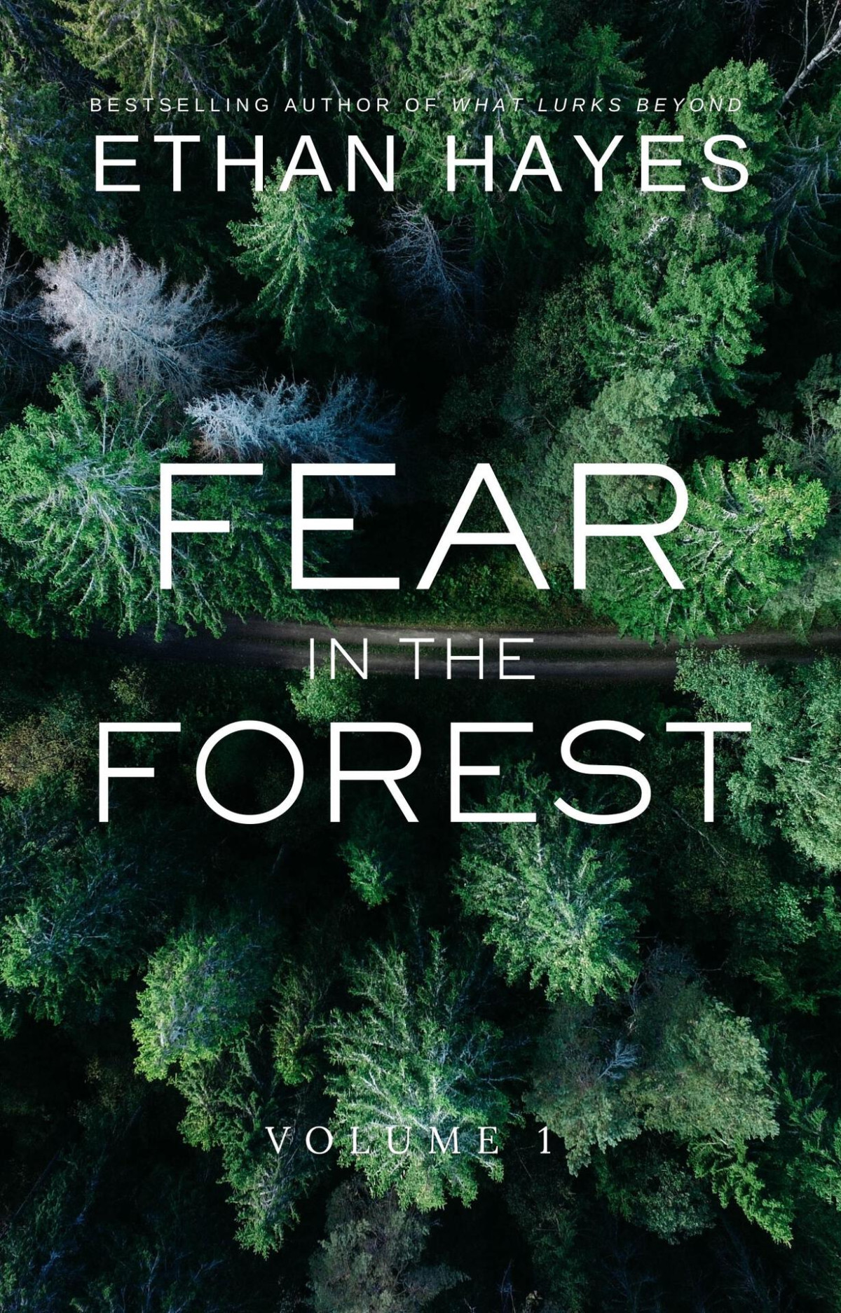 Fear In The Forest Volume 1 Hayes Ethan