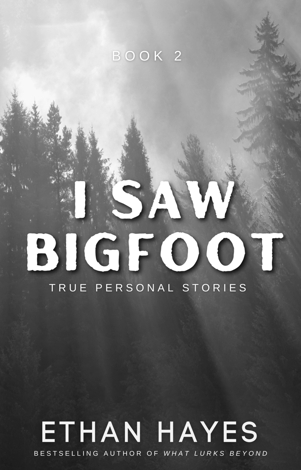 I Saw Bigfoot Volume 2 Hayes Ethan