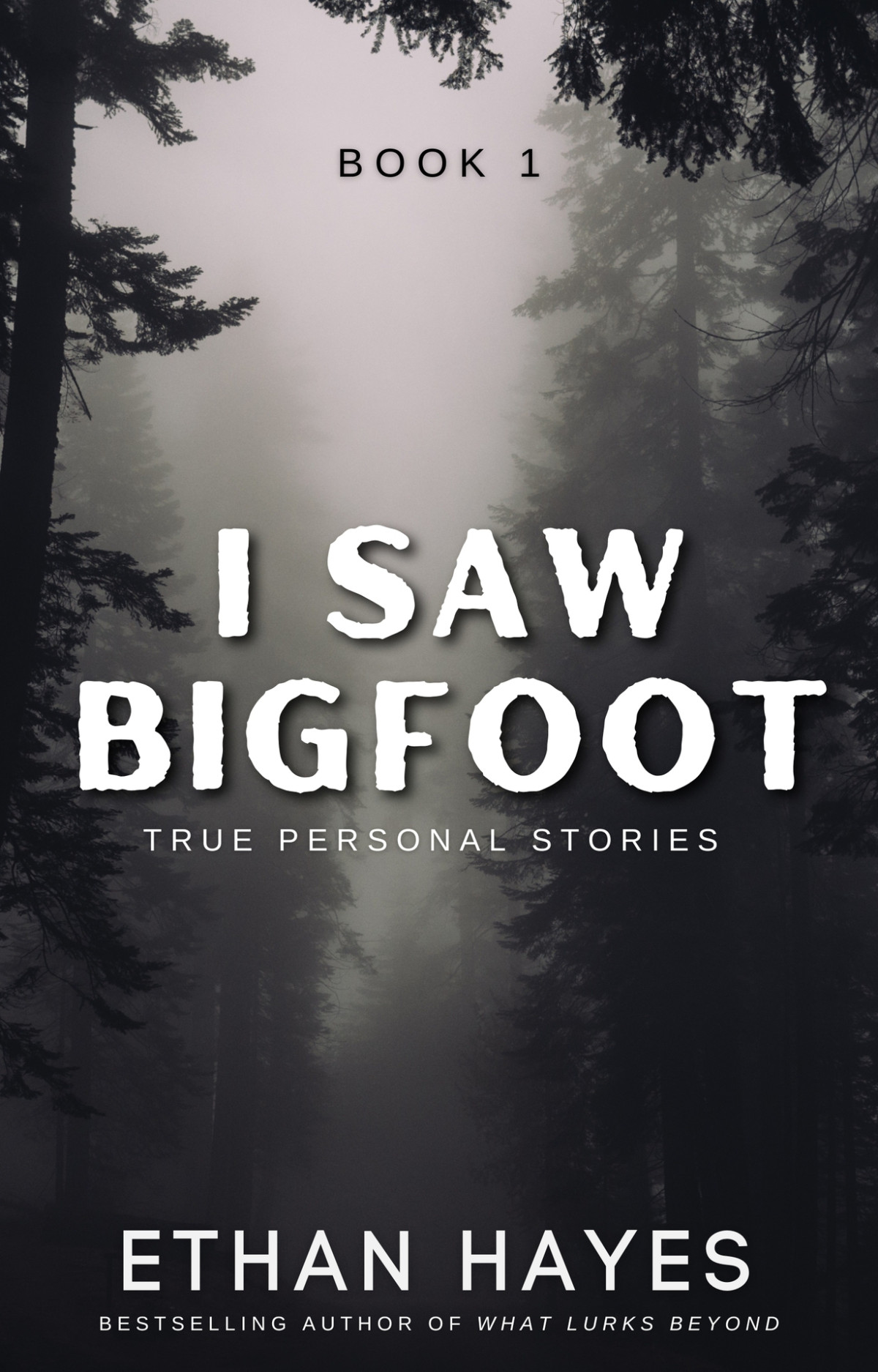 I Saw Bigfoot Volume 1 Hayes Ethan