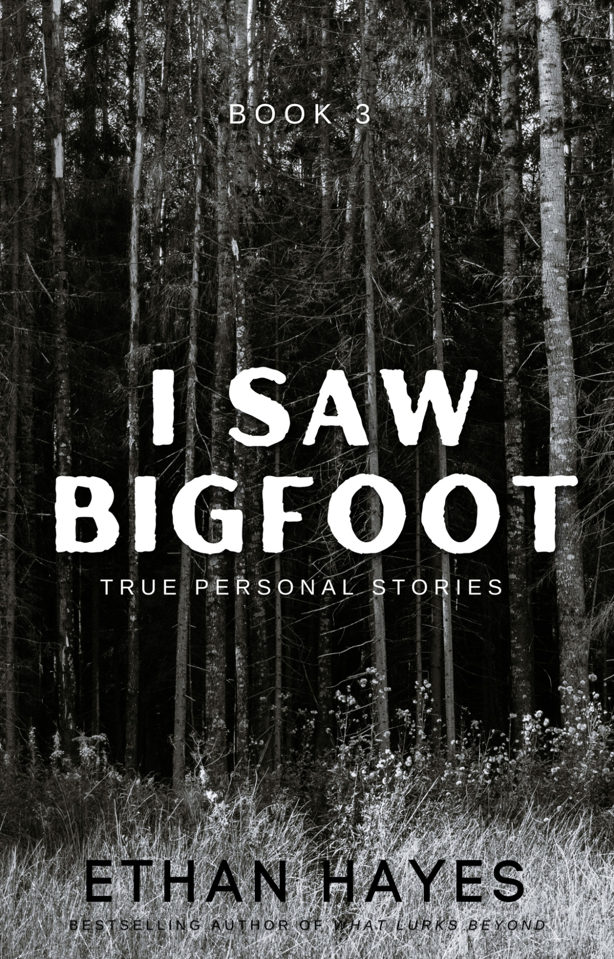 I Saw Bigfoot Volume 3 Hayes Ethan