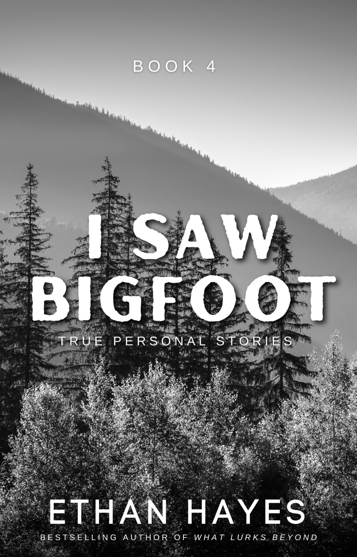 I Saw Bigfoot Volume 4 Hayes Ethan