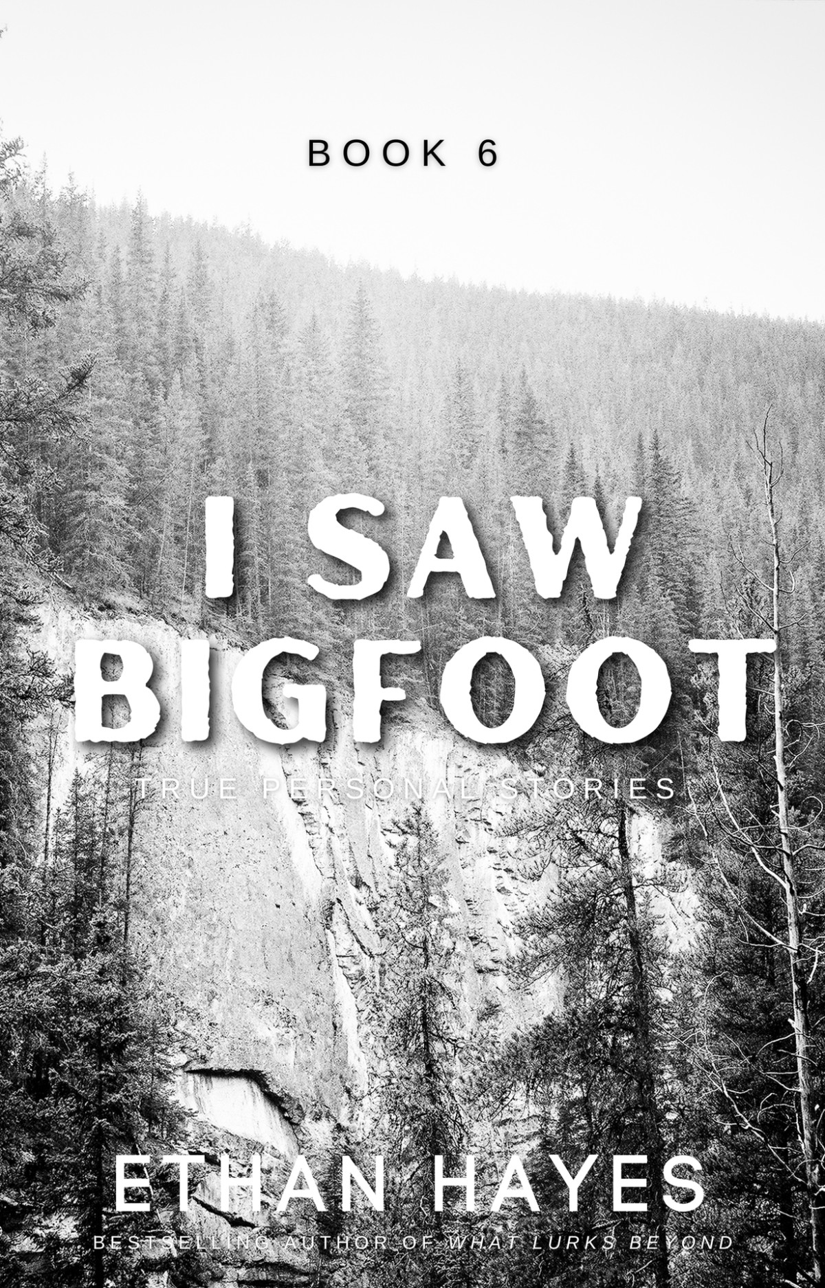 I Saw Bigfoot Book 6 Hayes Ethan