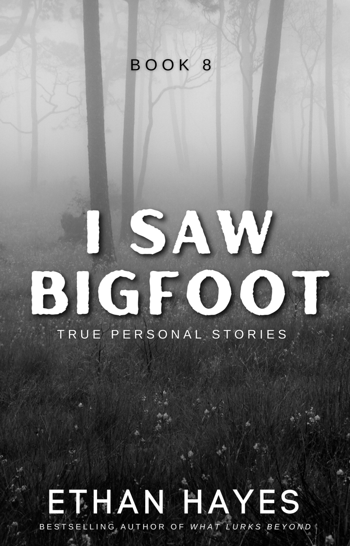 I Saw Bigfoot Book 8 Hayes Ethan