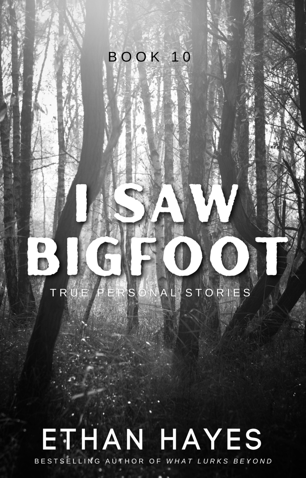 I Saw Bigfoot Book 10 Hayes Ethan