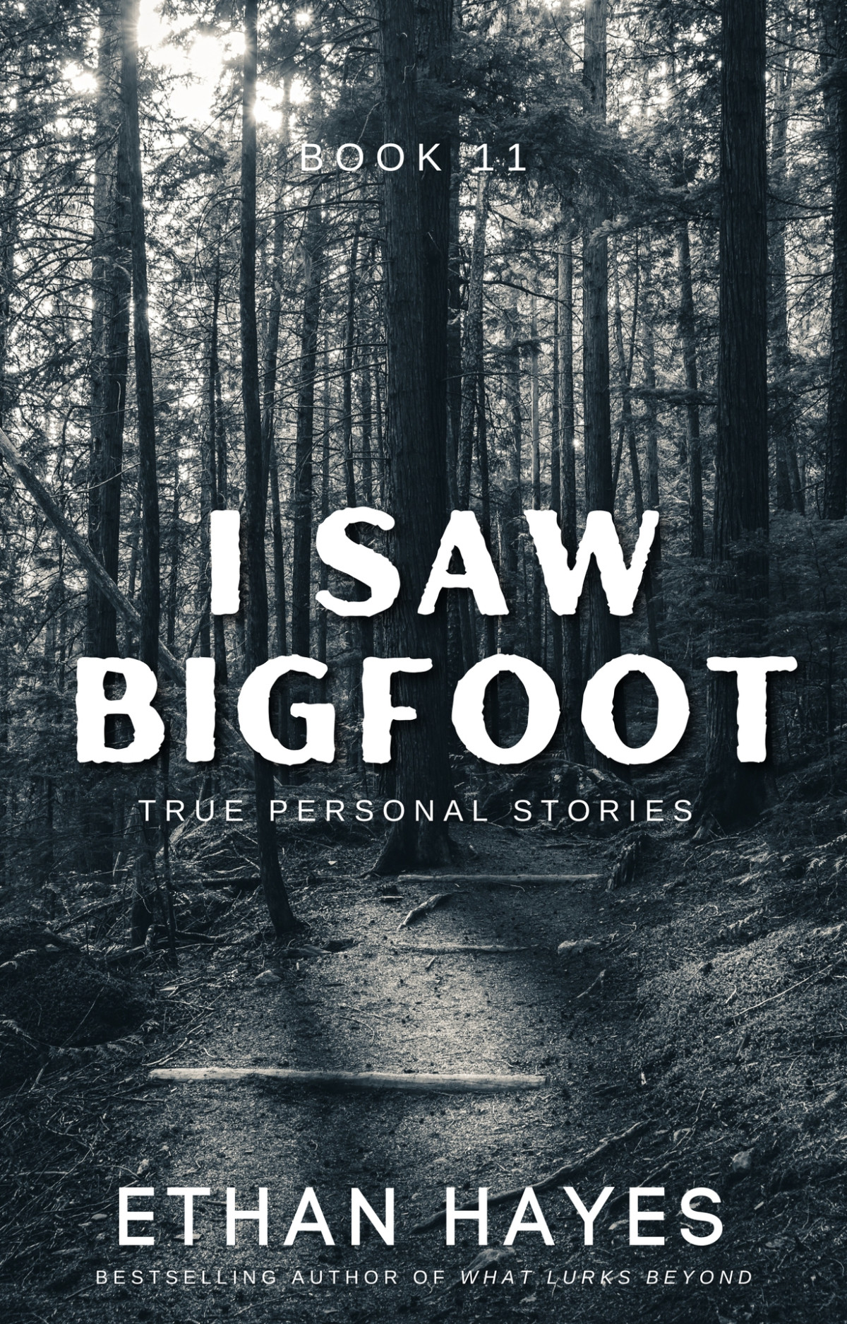 I Saw Bigfoot Book 11 Hayes Ethan
