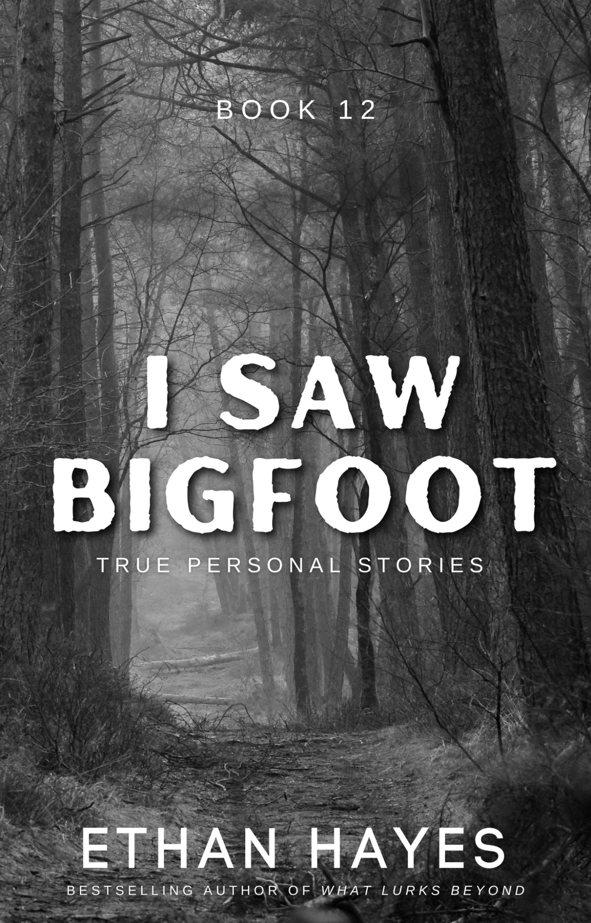 I Saw Bigfoot Book 12 Hayes Ethan