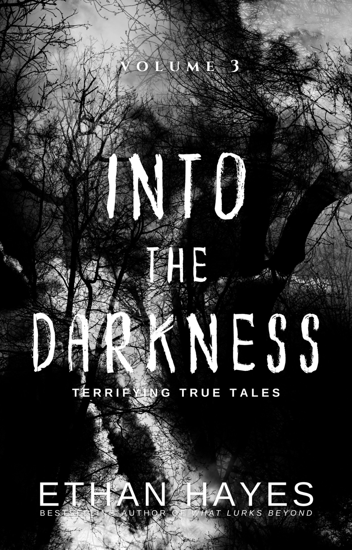 Into The Darkness Terrifying True Tales Volume 3 Hayes Ethan