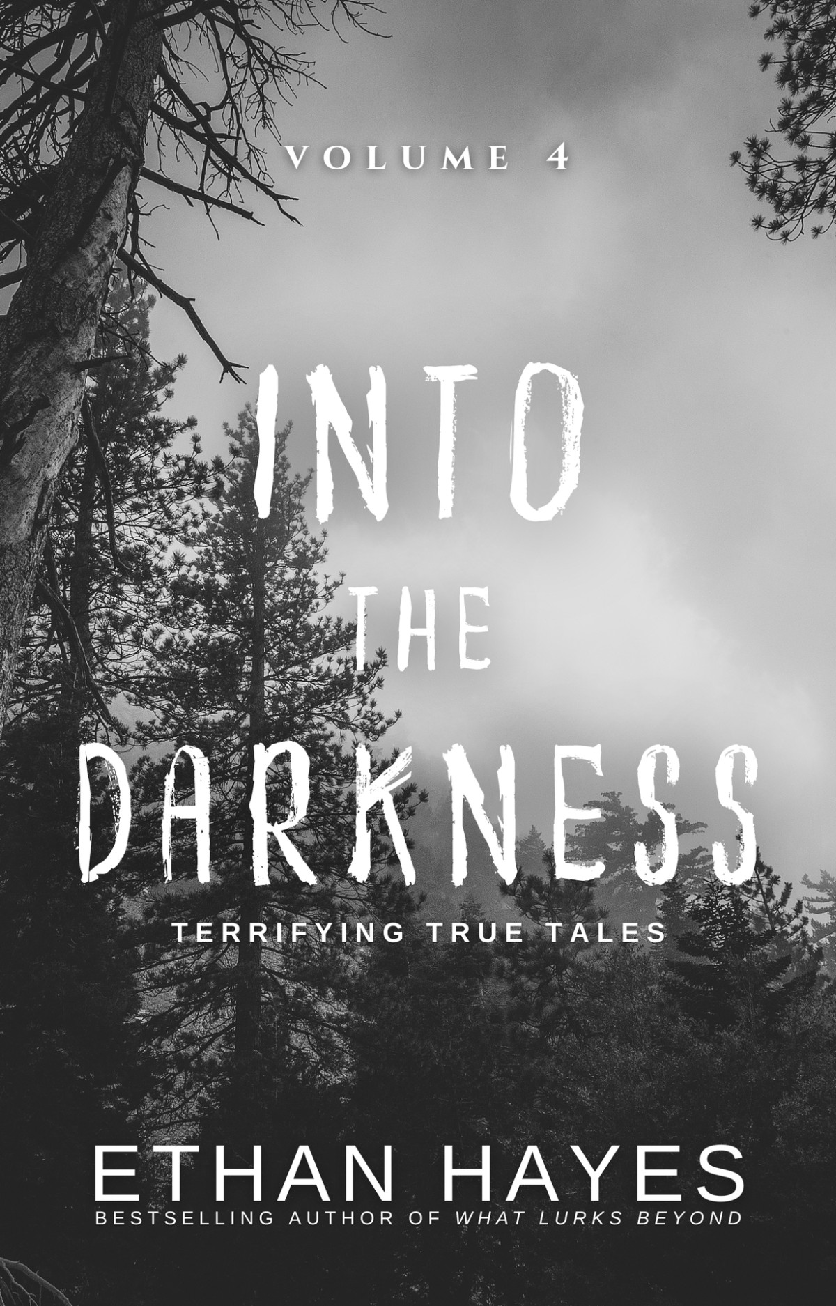 Into The Darkness Terrifying True Tales Volume 4 Hayes Ethan