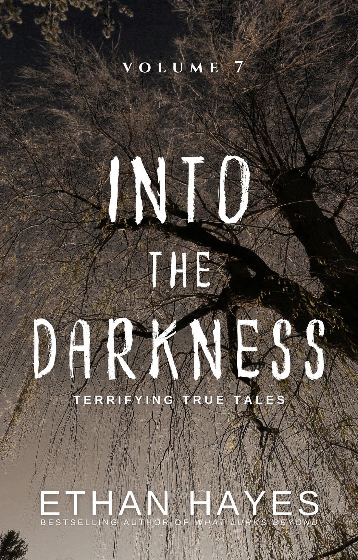Into The Darkness Terrifying True Tales Volume 7 Hayes Ethan