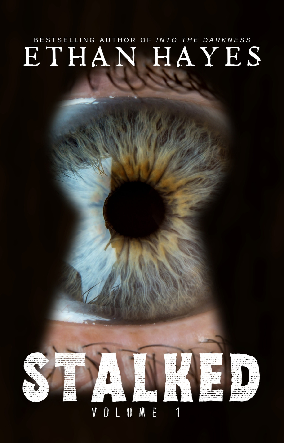 Stalked Terrifying True Crime Stories Volume 1 Hayes Ethan