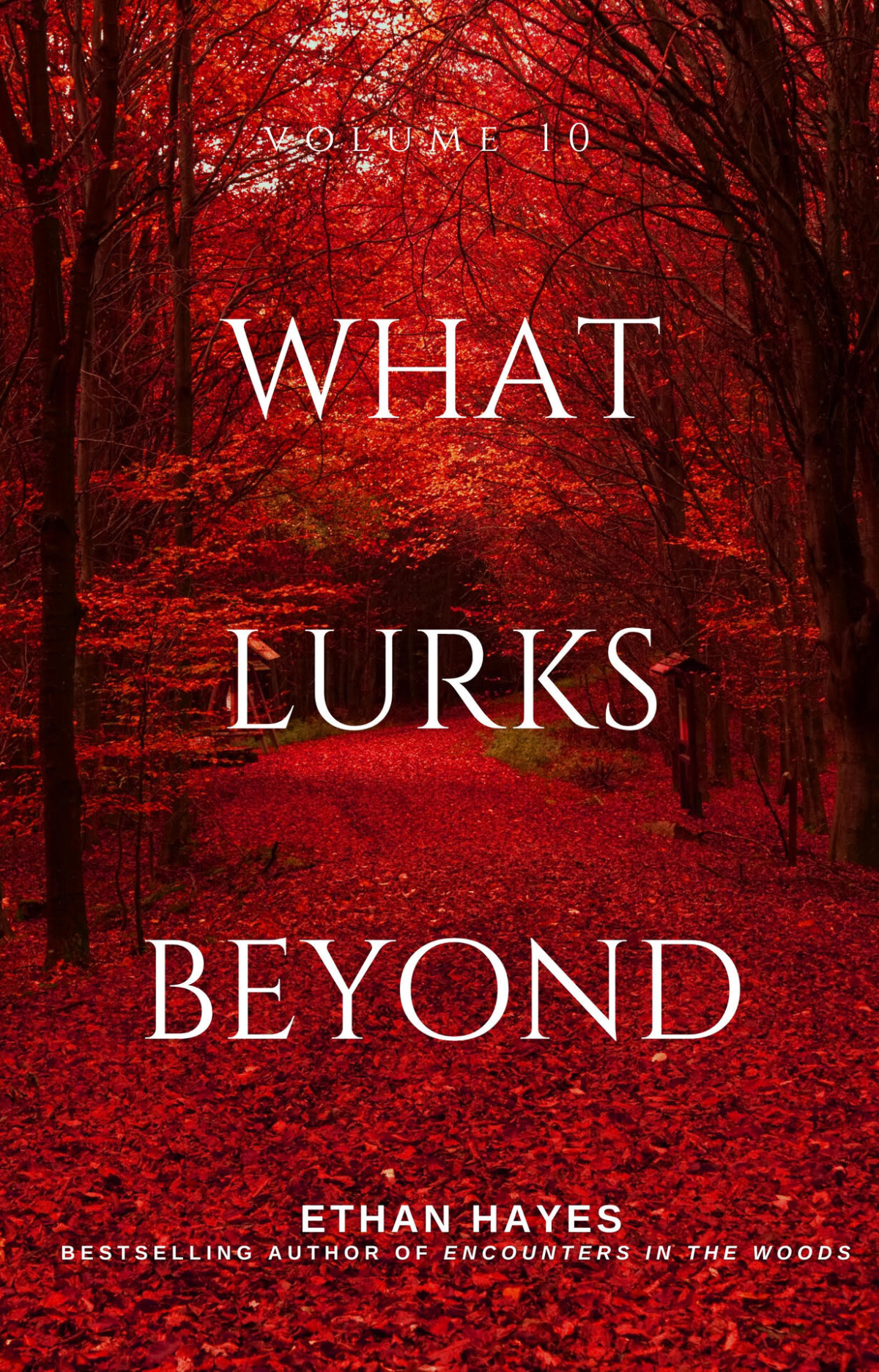 What Lurks Beyond Volume 10 Hayes Ethan