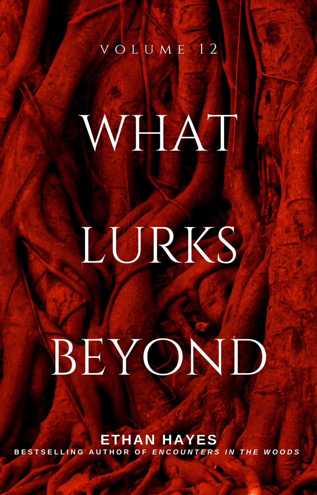 What Lurks Beyond Volume 12 Hayes Ethan
