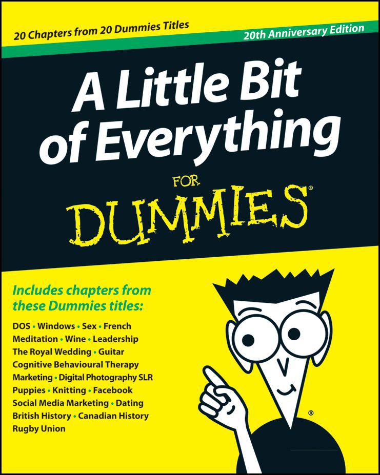 A Little Bit Of Everything For Dummies John Wiley Sons