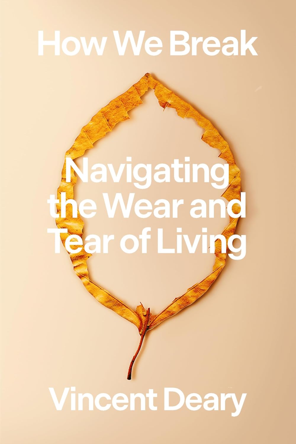 How We Break Navigating The Wear And Tear Of Living Vincent Deary
