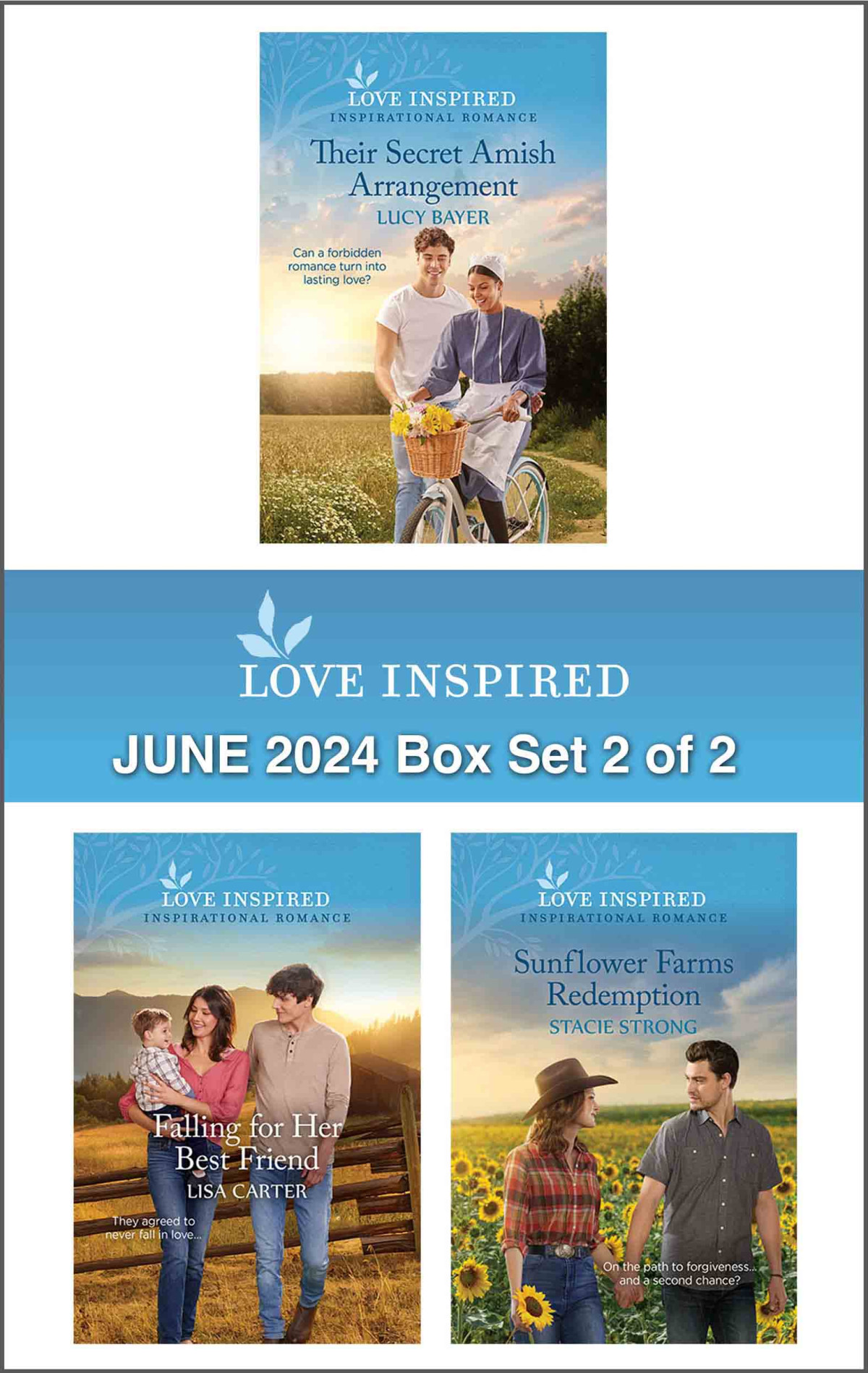 Love Inspired June 2024 Box Set 2 Of 2 Lucy Bayer Lisa Carter And Stacie Strong
