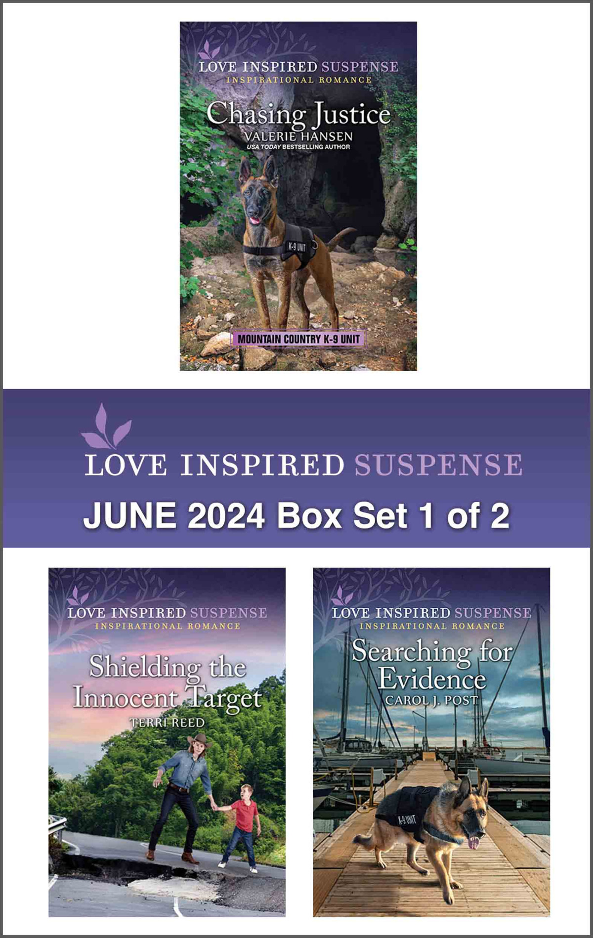 Love Inspired Suspense June 2024 Box Set 1 Of 2 Valerie Hansen