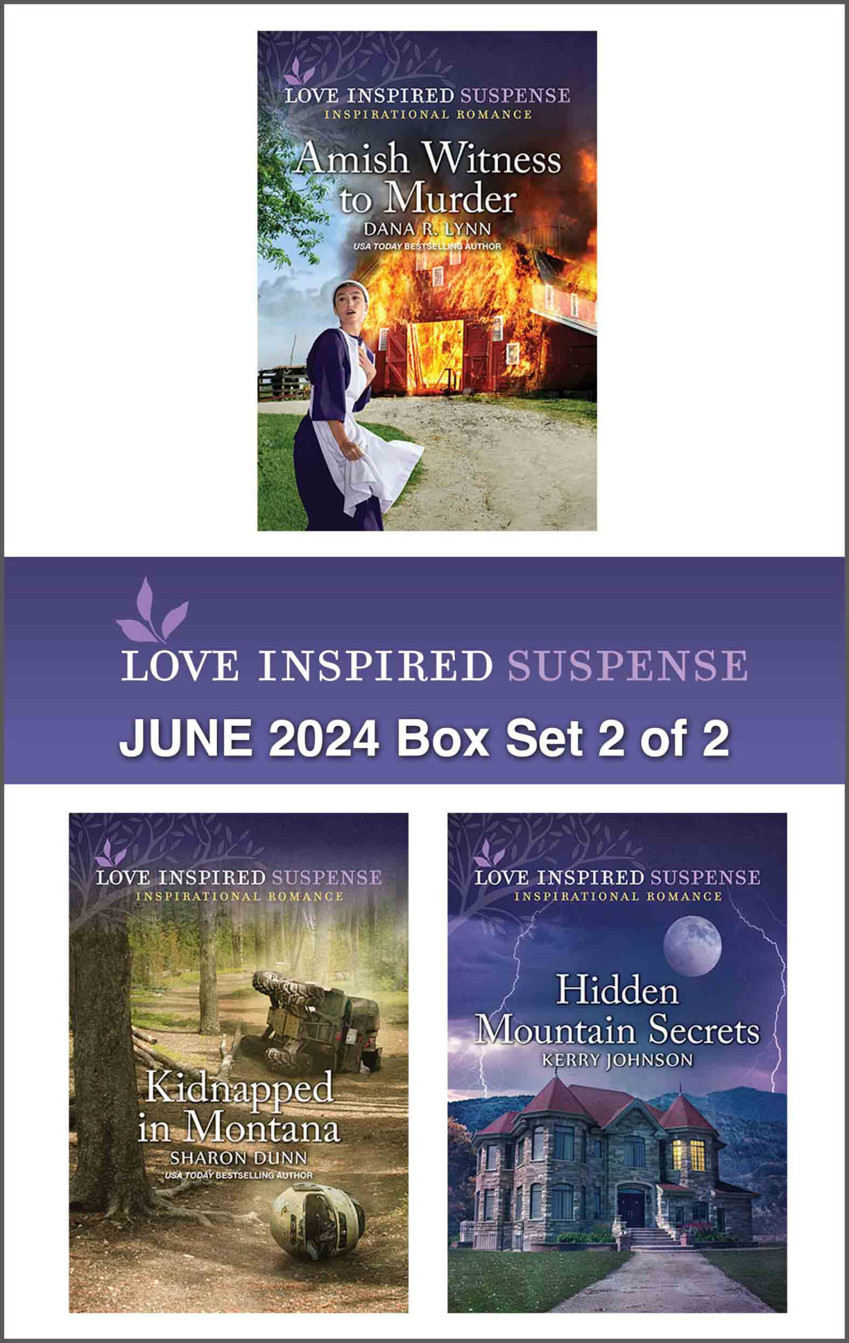 Love Inspired Suspense June 2024 Box Set 2 Of 2 Dana R Lynn