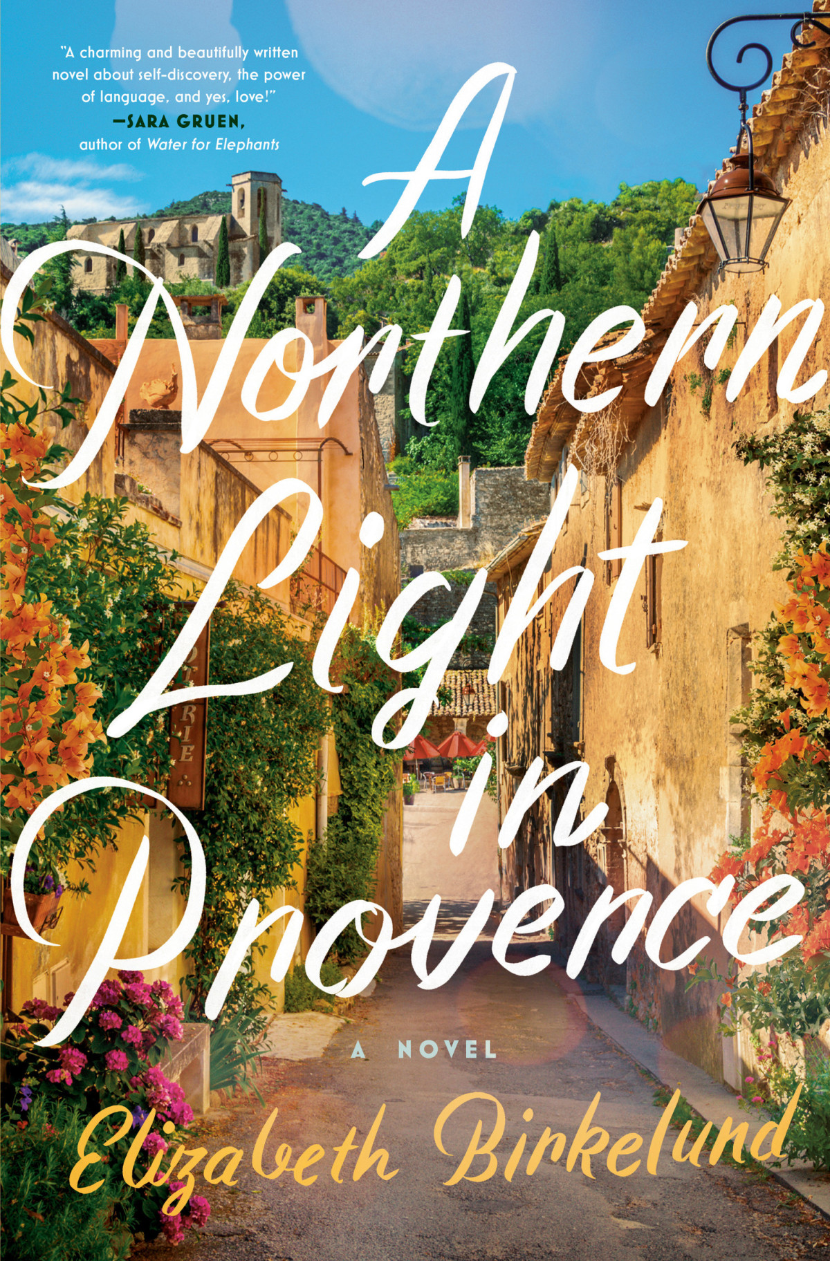 A Northern Light In Provence A Novel Elizabeth Birkelund