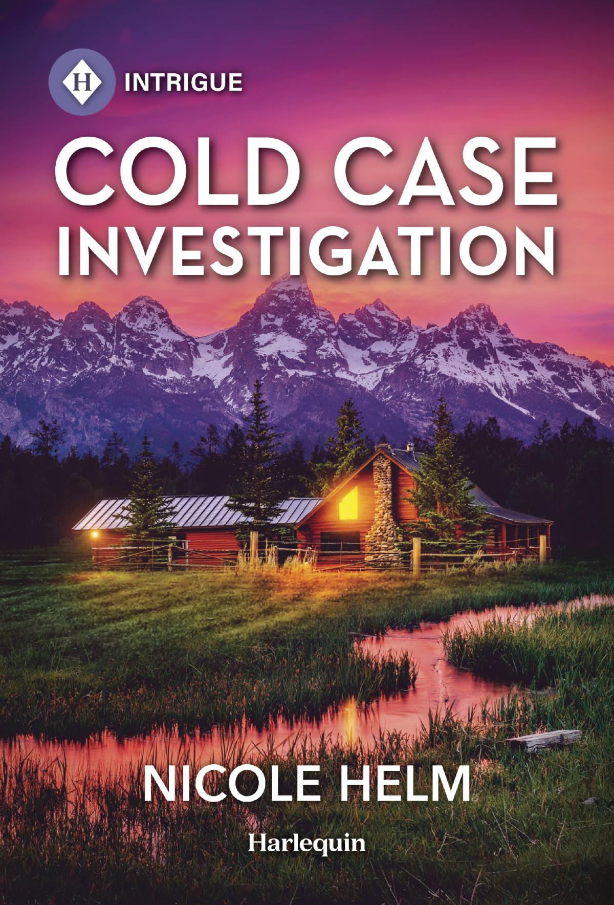Cold Case Investigation Nicole Helm