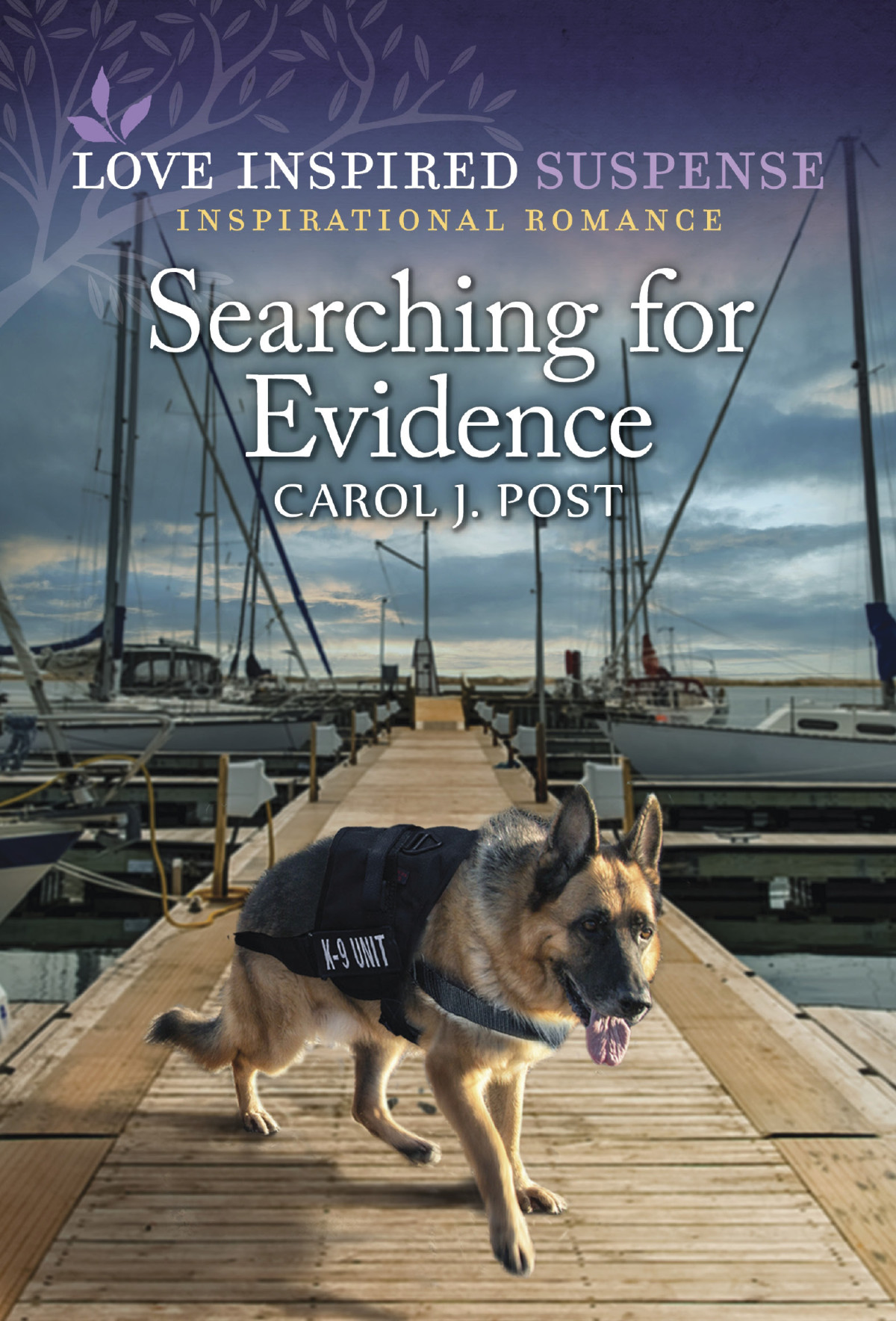 Searching For Evidence Carol J Post