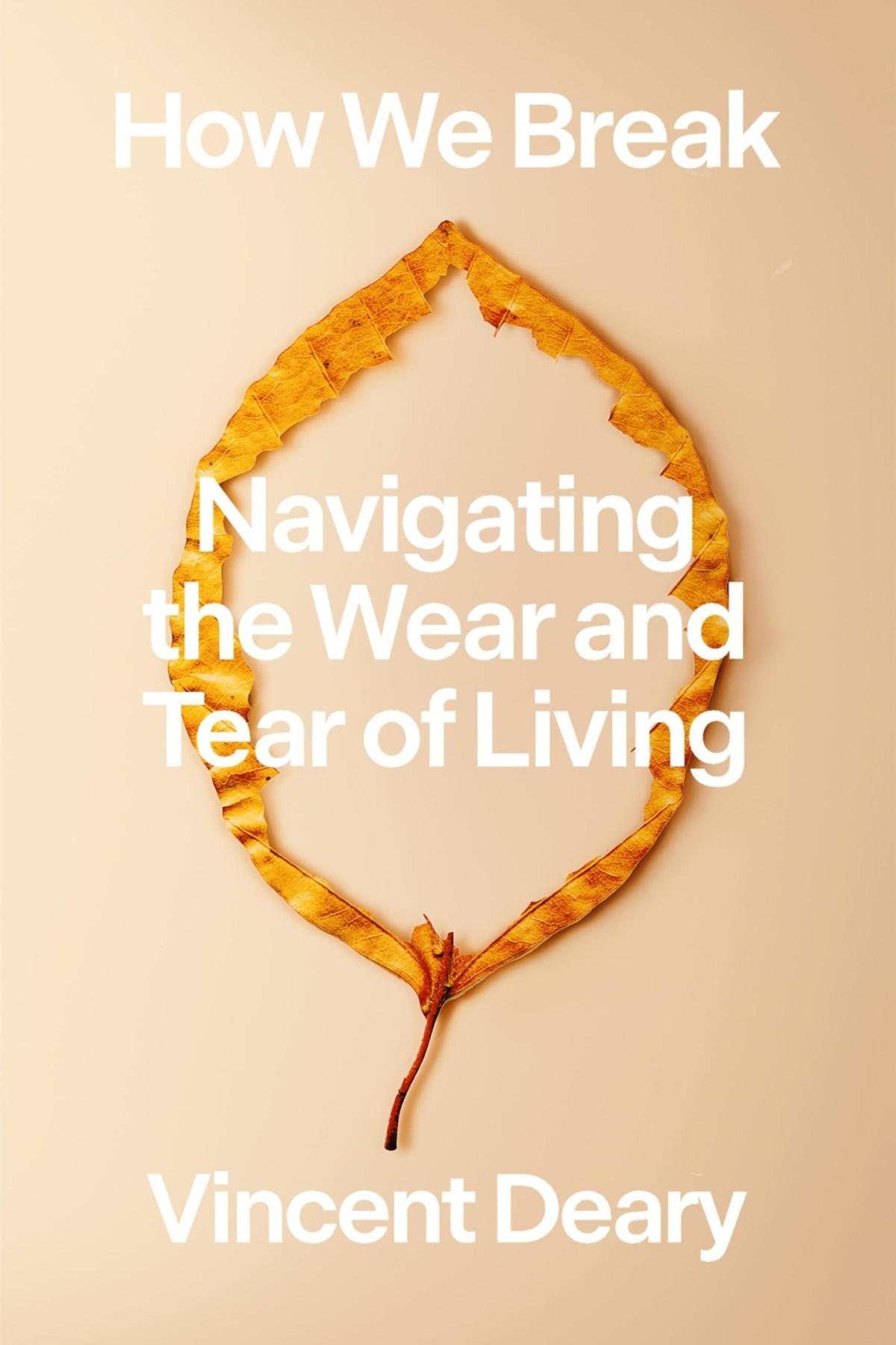 How We Break Navigating The Wear And Tear Of Living 1st Edition Vincent Deary