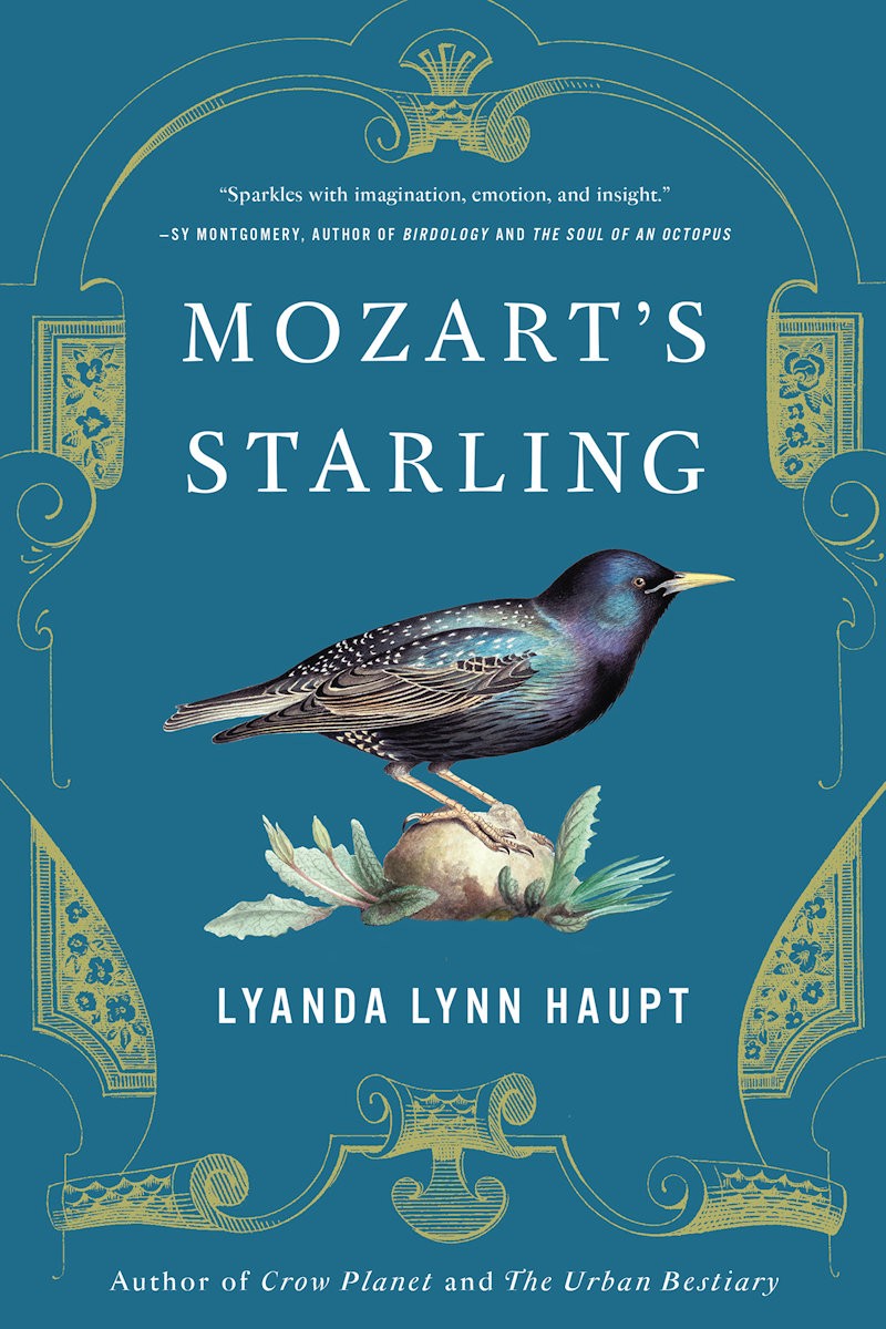 Mozarts Starling Lyanda Lynn Haupt