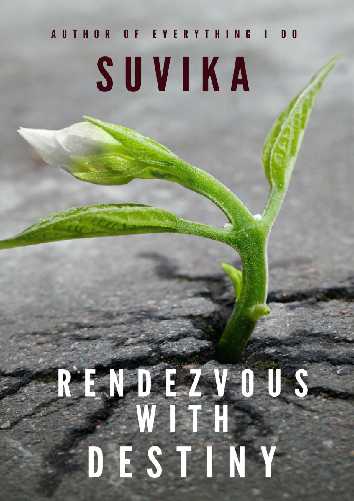 Rendezvous With Destiny Suvika