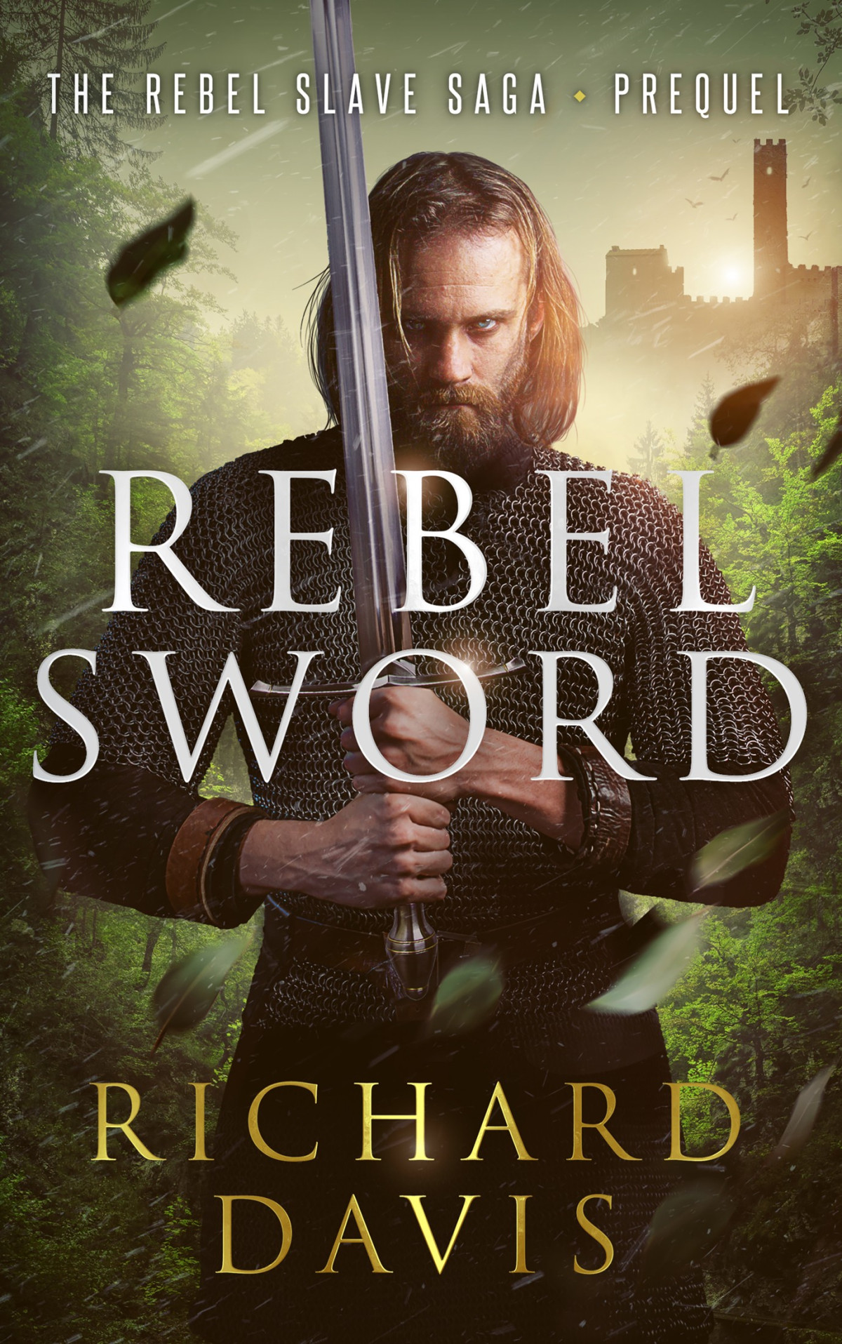 Rebel Sword Richard Davis