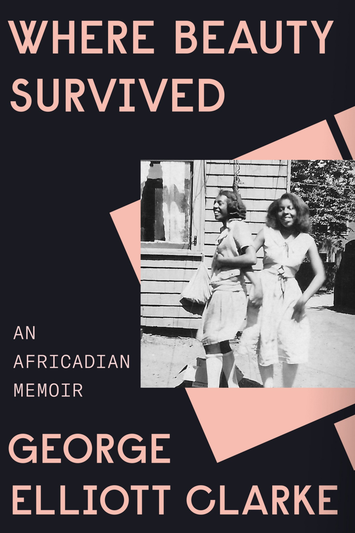 Where Beauty Survived An Africadian Memoir An Africadian Memoir George Elliott Clarke