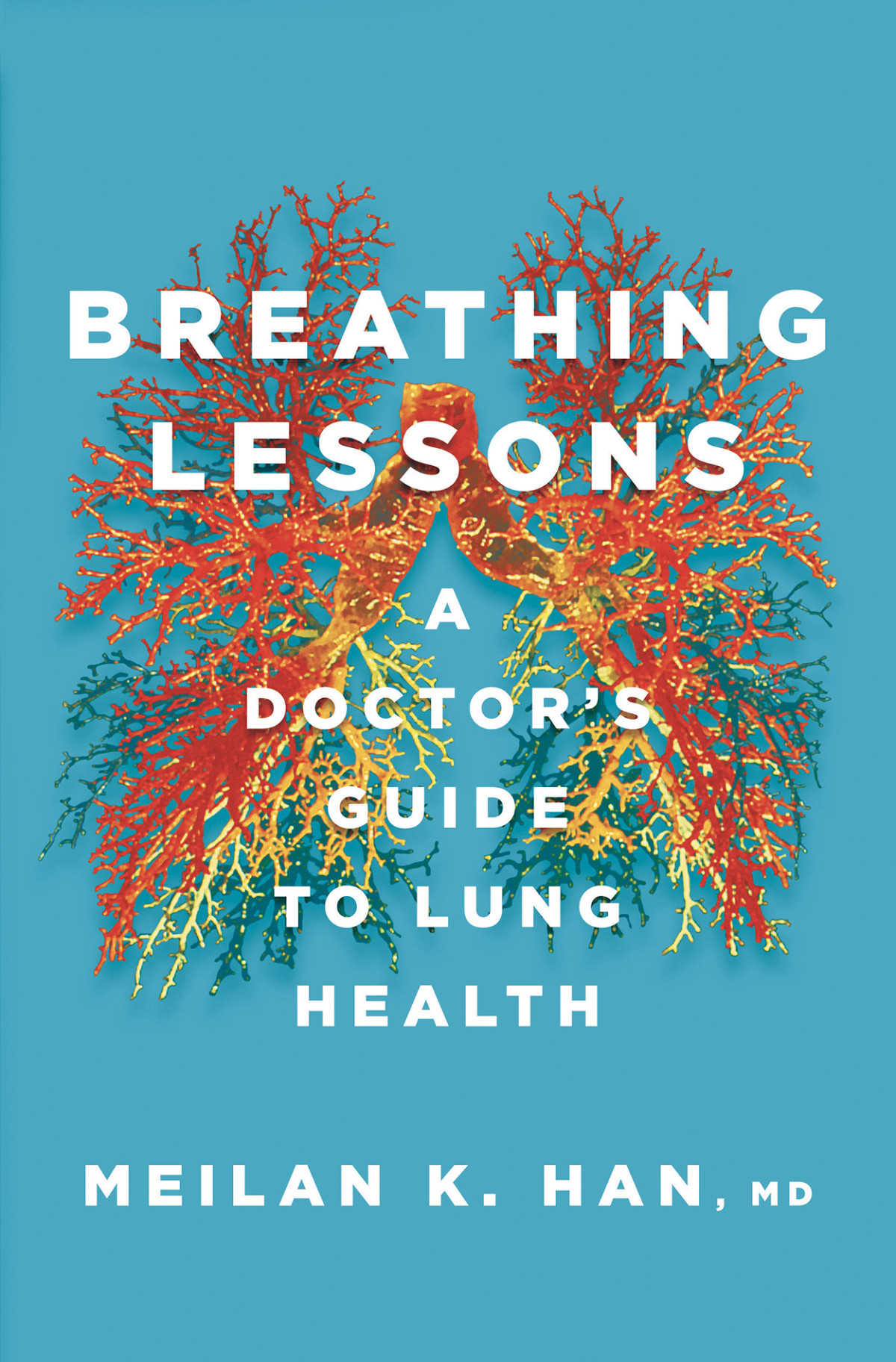 Breathing Lessons A Doctors Guide To Lung Health Meilan K Han