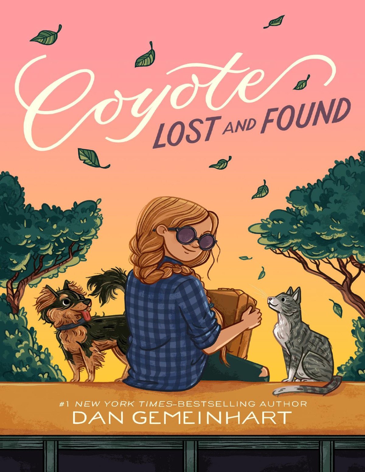 Coyote Lost And Found Dan Gemeinhart