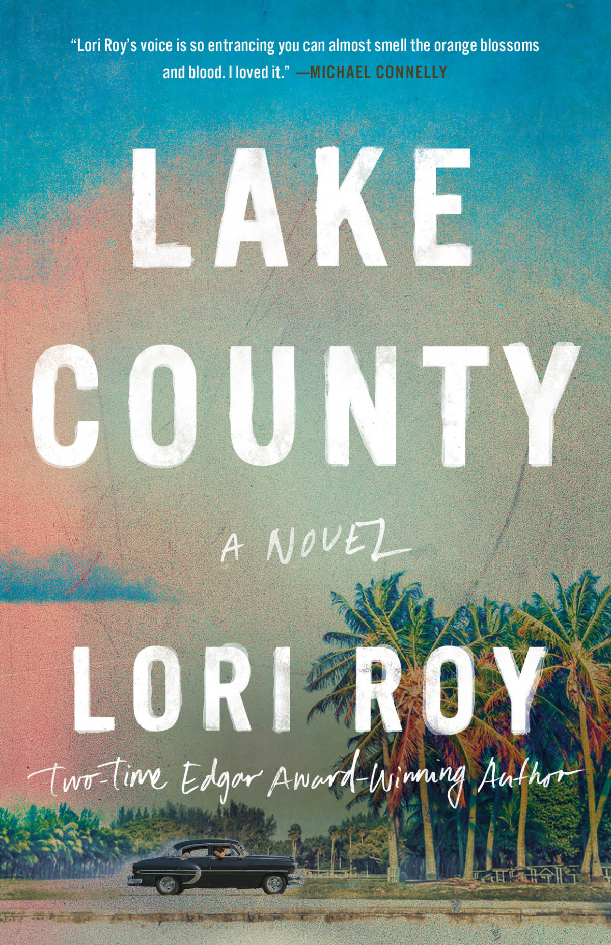 Lake County A Novel Lori Roy