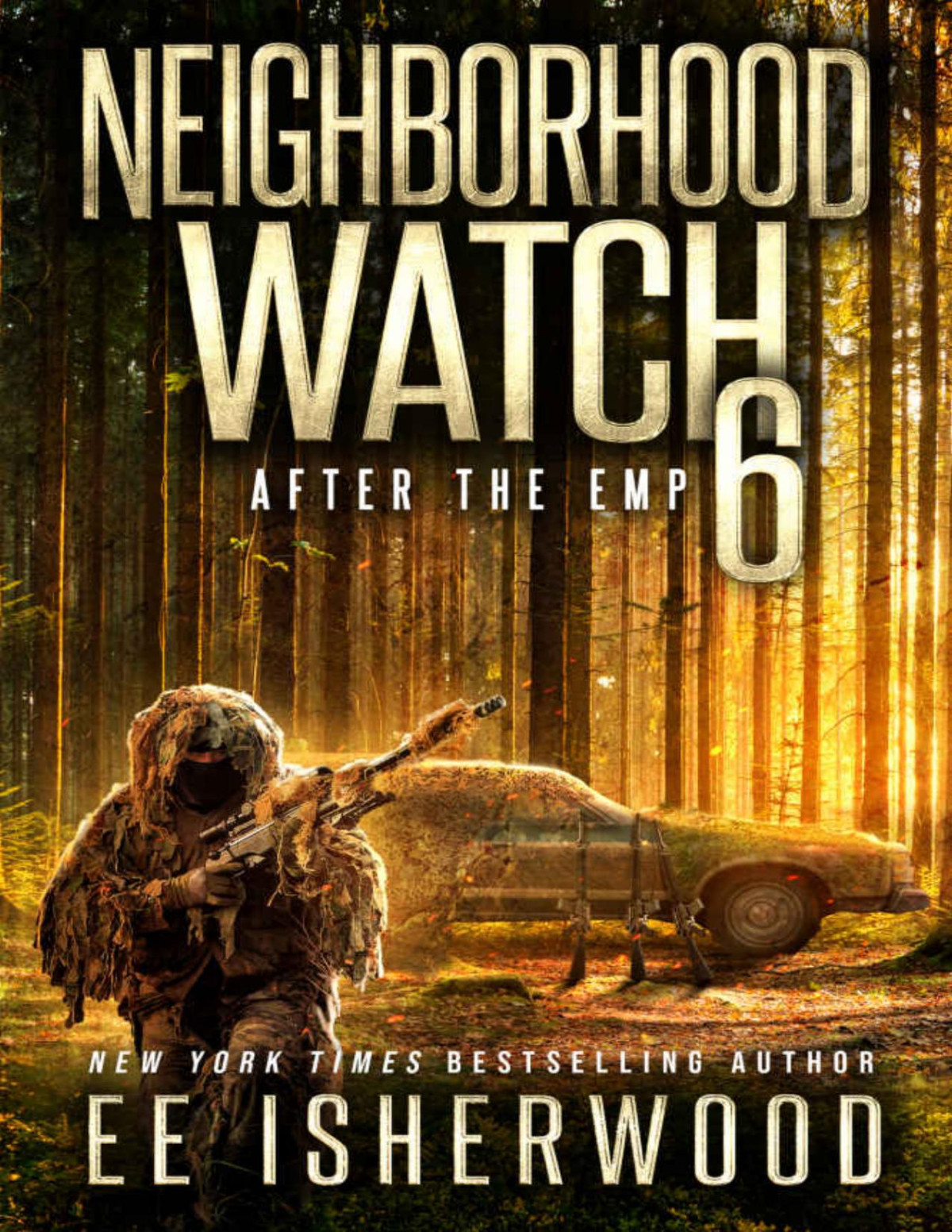 Neighborhood Watch 6 After The Emp Ee Isherwood