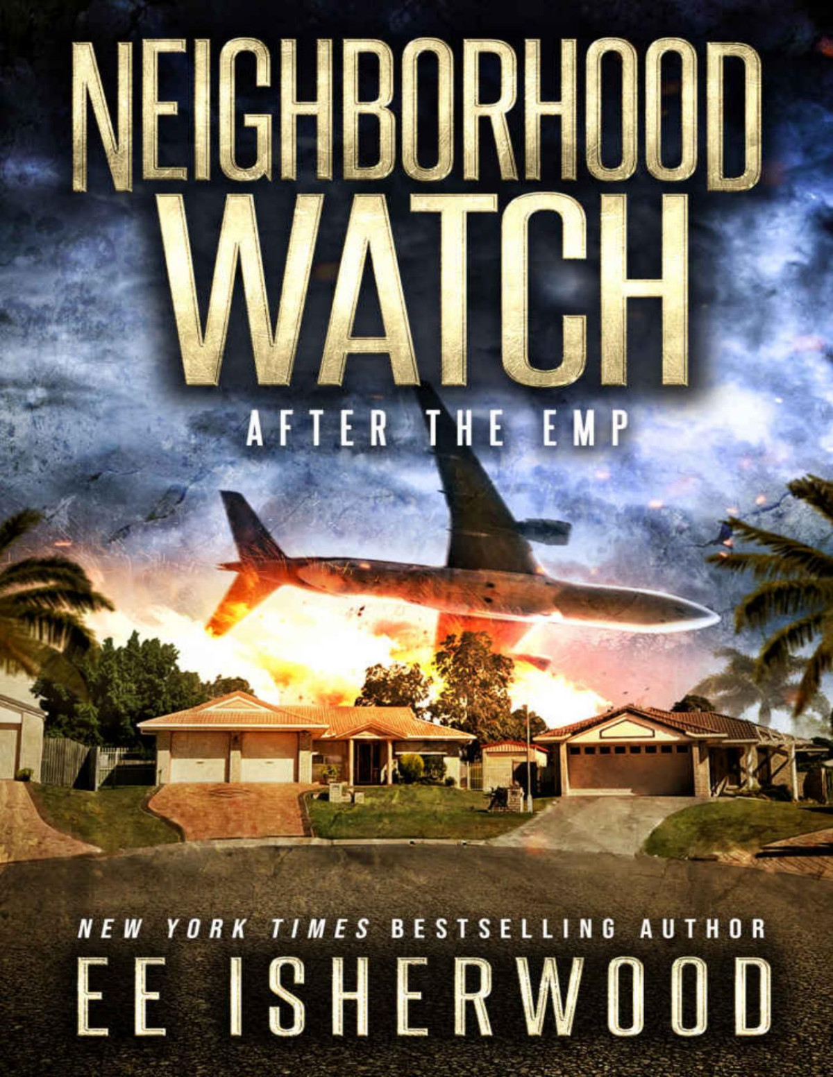 Neighborhood Watch After The Emp Book 1 Ee Isherwood