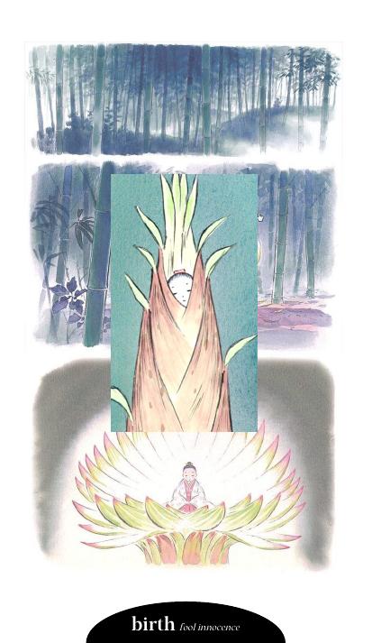 Ghibli Tarot Deck Maria Mison