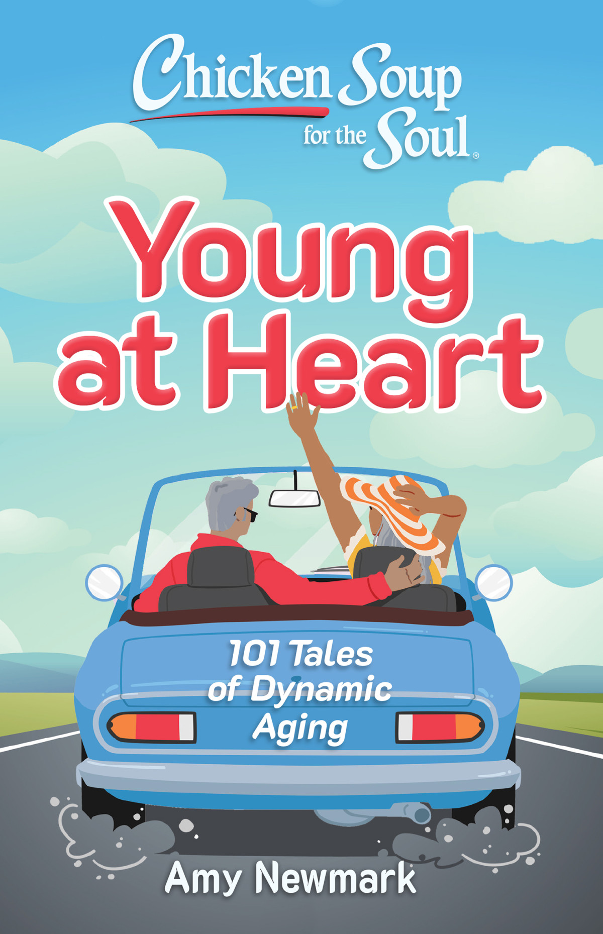 Chicken Soup For The Soul 101 Tales Of Dynamic Aging Amy Newmark