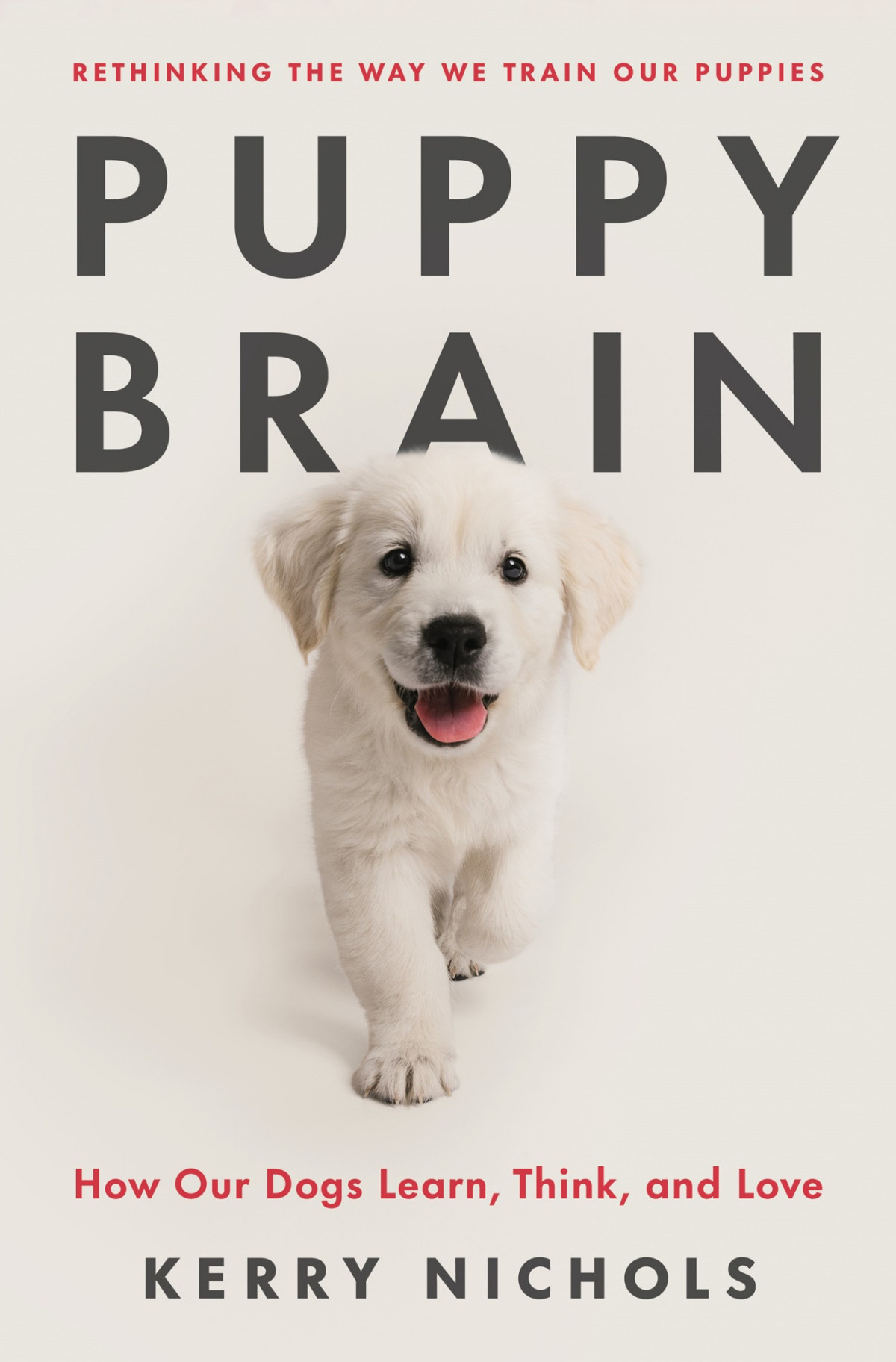 Puppy Brain How Our Dogs Learn Think And Love Kerry Nichols