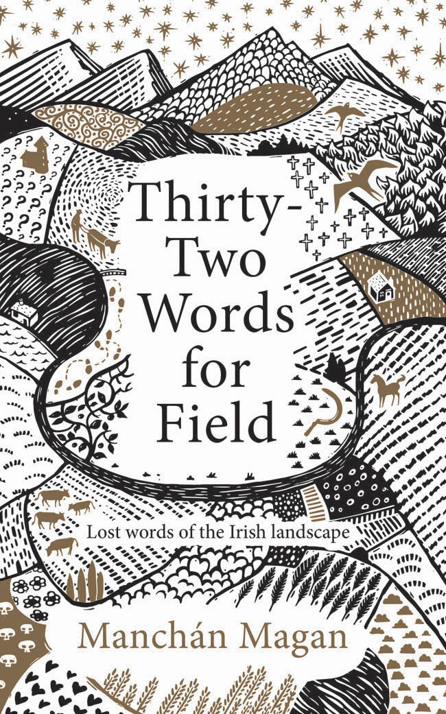 Thirtytwo Words For Field Lost Words Of The Irish Landscape Manchn Magan