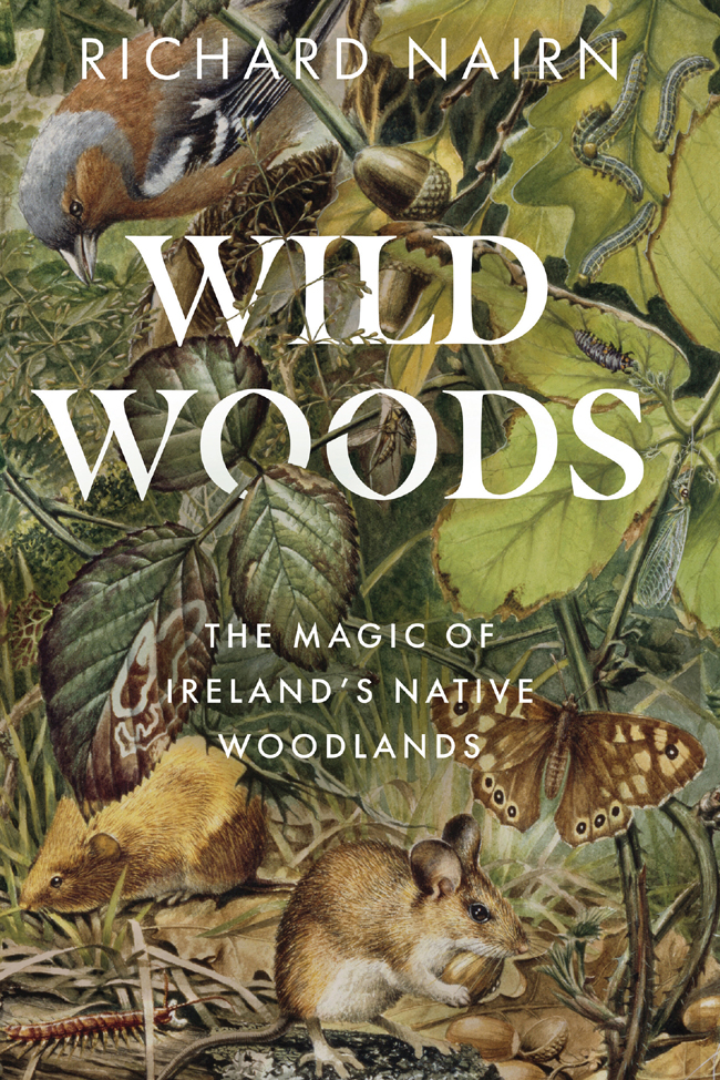 Wildwoods The Magic Of Irelands Native Woodlands Richard Nairn