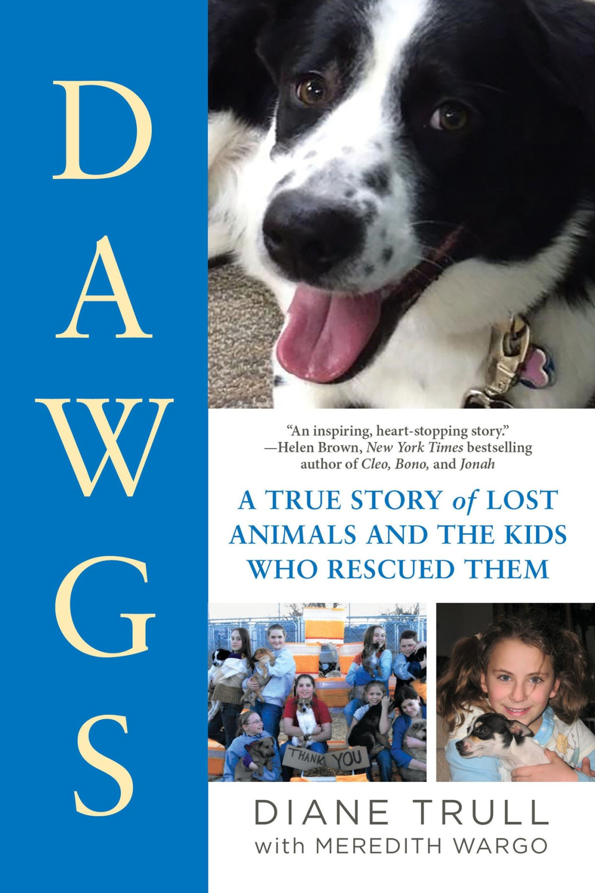 Dawgs A True Story Of Lost Animals And The Kids Who Rescued Them Diane Trull Meredith Wargo