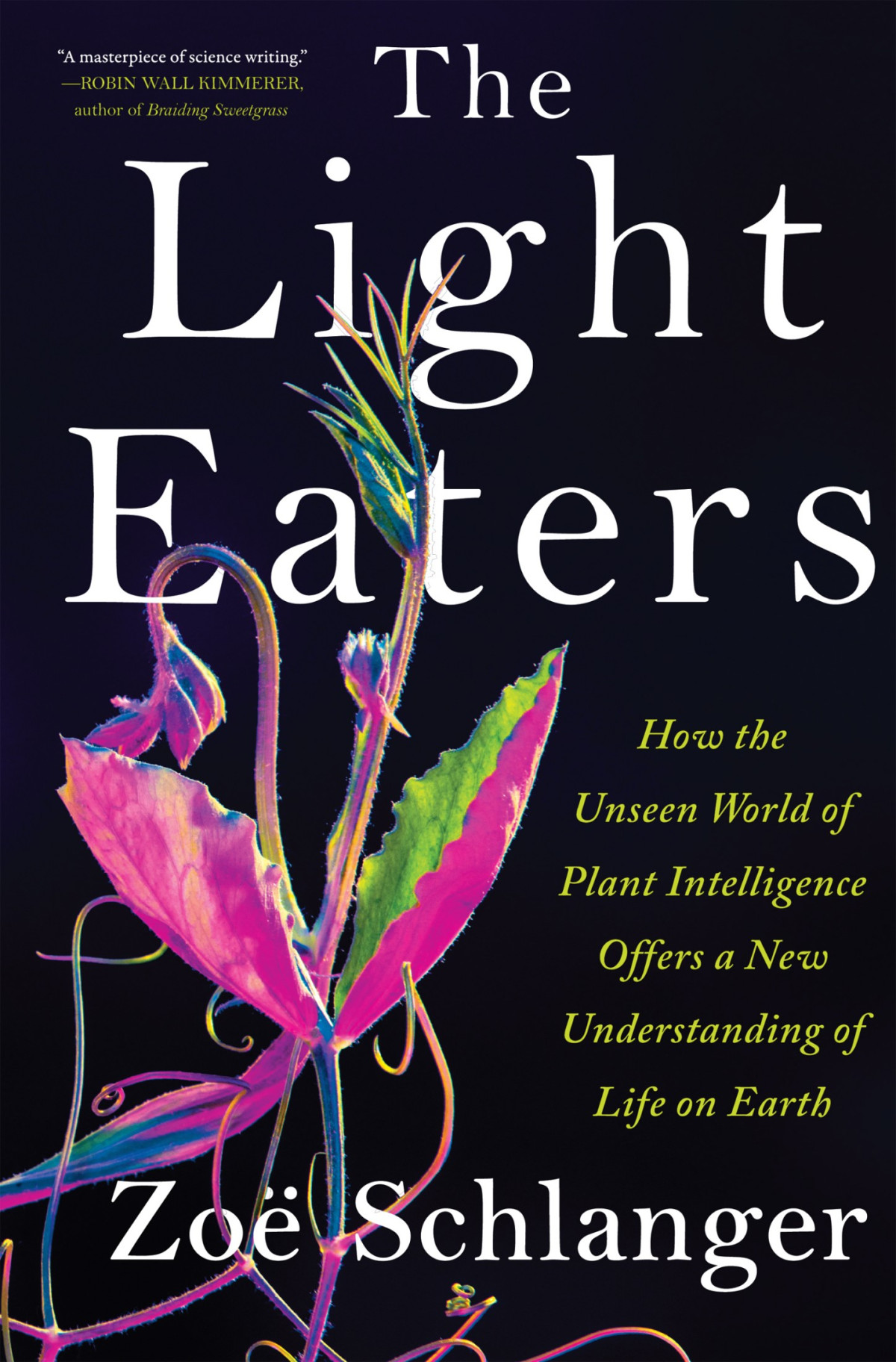 The Light Eaters Zo Schlanger
