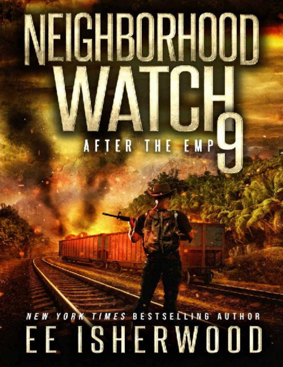Neighborhood Watch 9 After The Emp Ee Isherwood