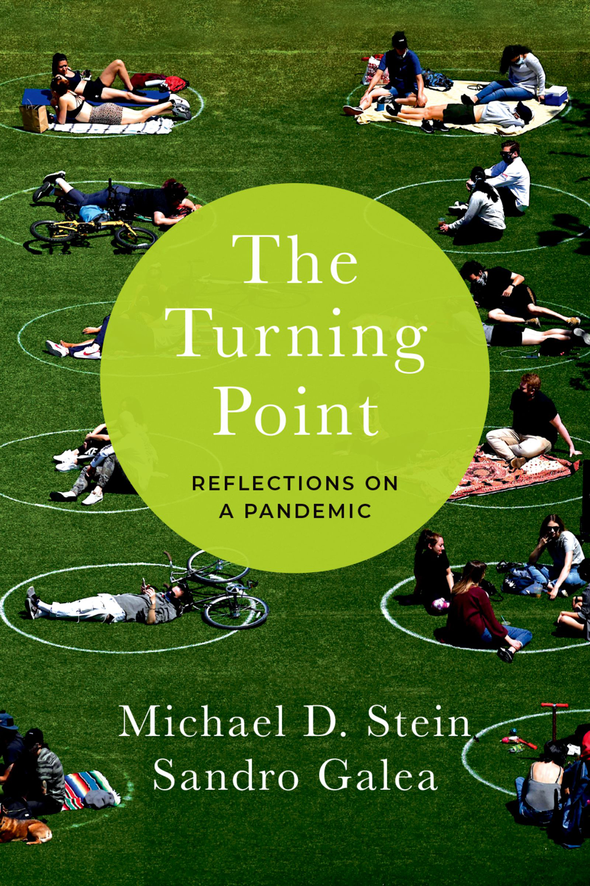 The Turning Point Reflections On A Pandemic Michael D Stein