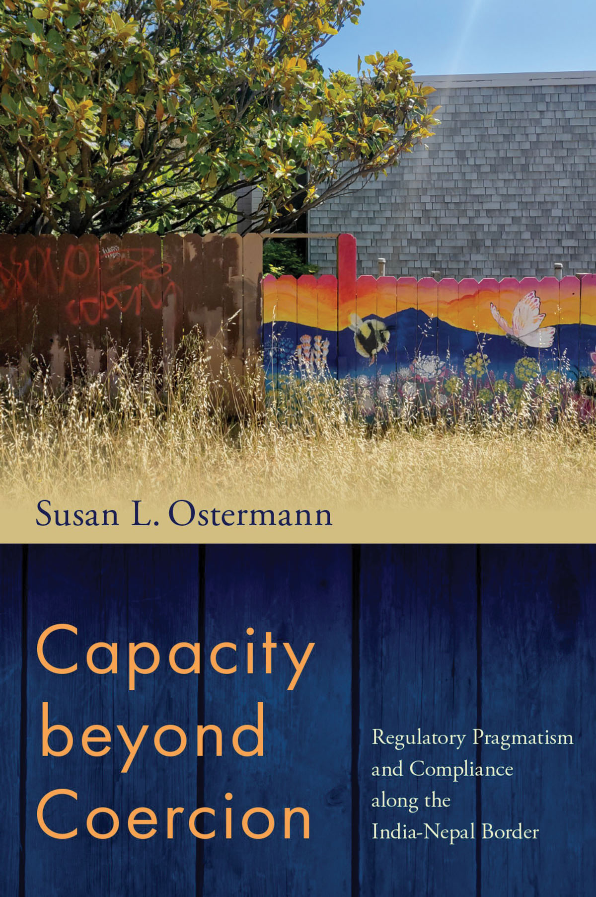 Capacity Beyond Coercion Susan L Ostermann