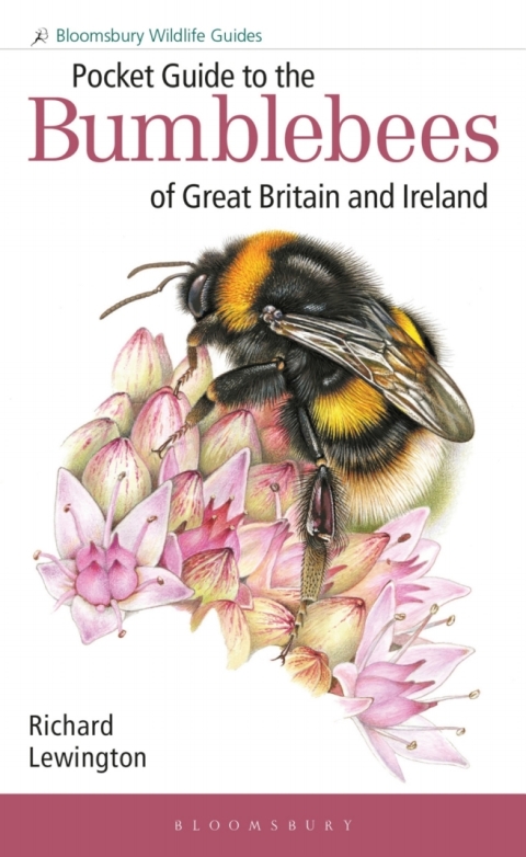 Pocket Guide To The Bumblebees Of Great Britain And Ireland 1st Edition Richard Lewington