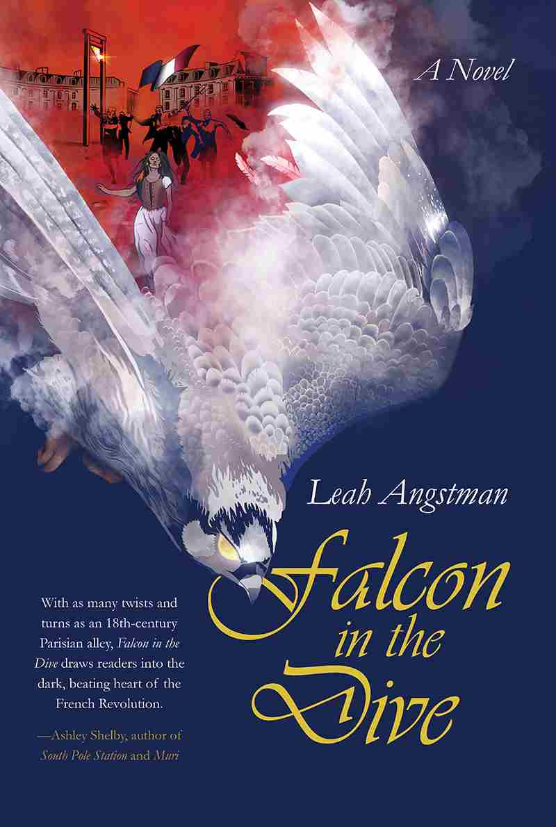 Falcon In The Dive Leah Angstman