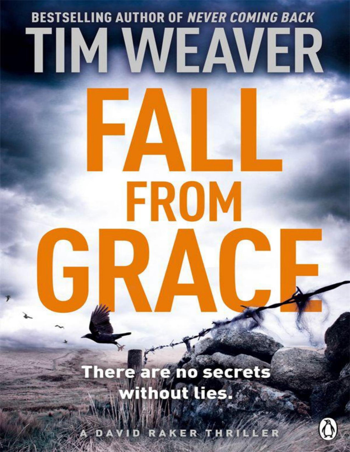 David Raker 05 Fall From Grace Tim Weaver