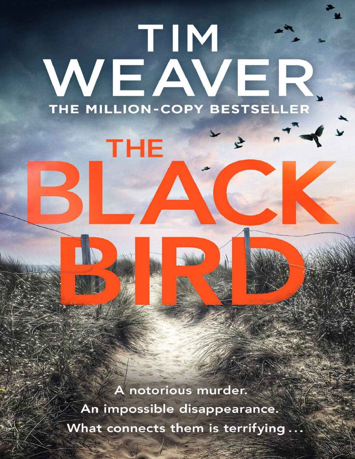 The Blackbird Tim Weaver